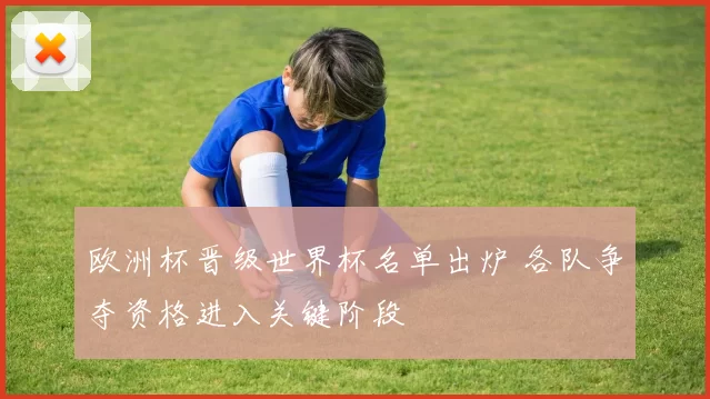 欧洲杯晋级世界杯名单出炉 各队争夺资格进入关键阶段