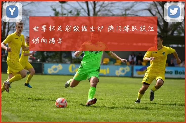 世界杯足彩数据出炉 热门球队投注倾向揭示