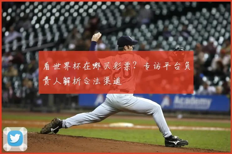看世界杯在哪买彩票？专访平台负责人解析合法渠道