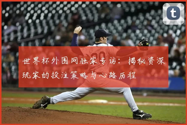 世界杯外围网独家专访:揭秘资深玩家的投注策略与心路历程