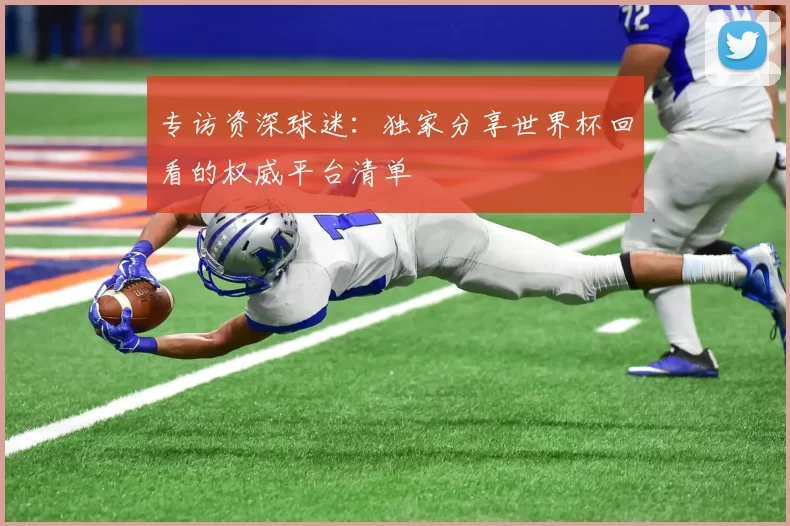 专访资深球迷：独家分享世界杯回看的权威平台清单