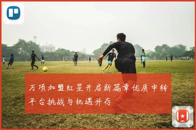 万项加盟红星开启新篇章优质中转平台挑战与机遇并存