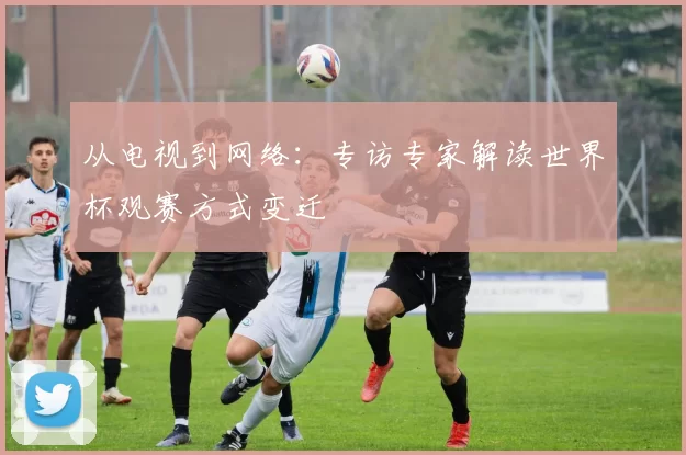 从电视到网络:专访专家解读世界杯观赛方式变迁